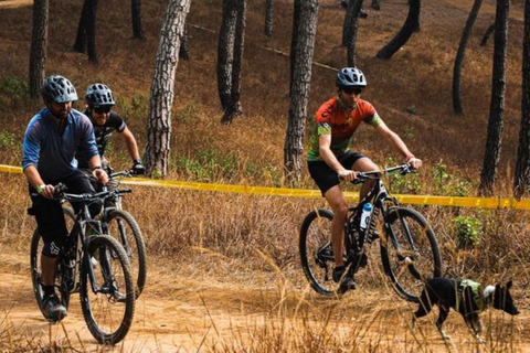 Vyas to Devghat 6-Day MTB Tour via Bandipur & Chhimkeshwari