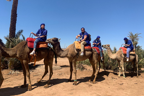 Marrakech : Excursion guidée en quad et à dos de chameau avec petit-déjeuner