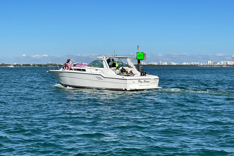 Miami: tour privato di noleggio yacht con champagne e boccaglioTour in yacht privato di 2 ore