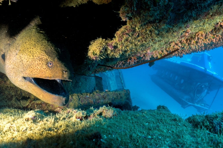 Trou-aux-Biches: Submarine Tour to the Star Hope Wreck