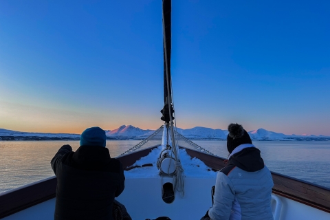 Tromso: rejs jachtem po Frozen Fjord z lunchem