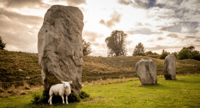 Excursão de um dia em Bristol, Stonehenge e Cotswold Villages - Hizvo