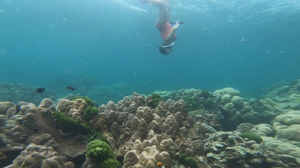 From Nassau Eleuthera Current And Harbor Island Boat Tour GetYourGuide   145 