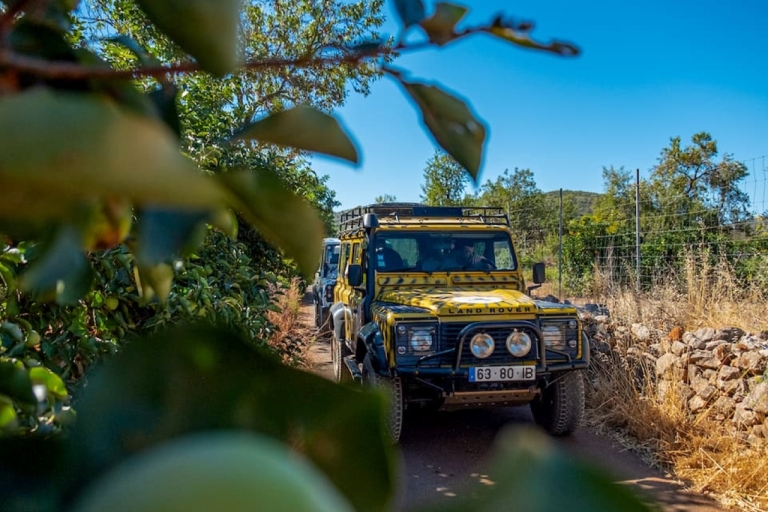 Safari en jeep - Journée complète