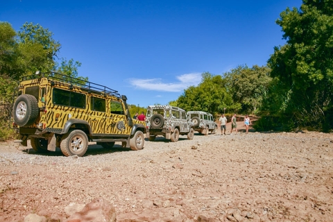 Safari en jeep - Journée complète
