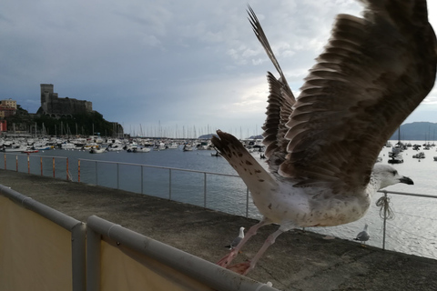 LERICI - Visit with beach & food-tasting near La Spezia Mein Lerici - Eine musikalische Erkundung am Golf der Poeten