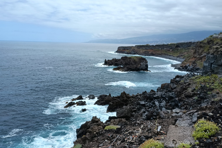 Tenerife: Excursão privada de um dia às paisagens da costa norteTenerife: excursão privada de um dia pela paisagem da costa norte