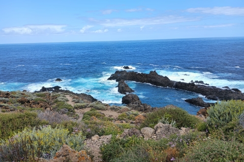 Privétour Landschappen langs de noordkust van Tenerife