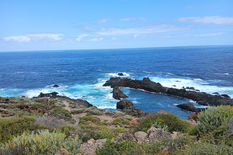 Excursión privada Paisajes de la costa norte de Tenerife