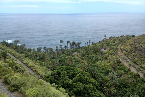 Privétour Landschappen langs de noordkust van Tenerife