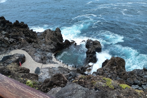 Excursión privada Paisajes de la costa norte de Tenerife