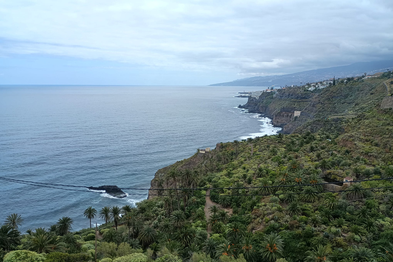 Tenerife: Excursão privada de um dia às paisagens da costa norteTenerife: excursão privada de um dia pela paisagem da costa norte