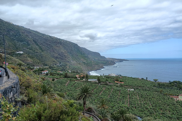 Privétour Landschappen langs de noordkust van Tenerife