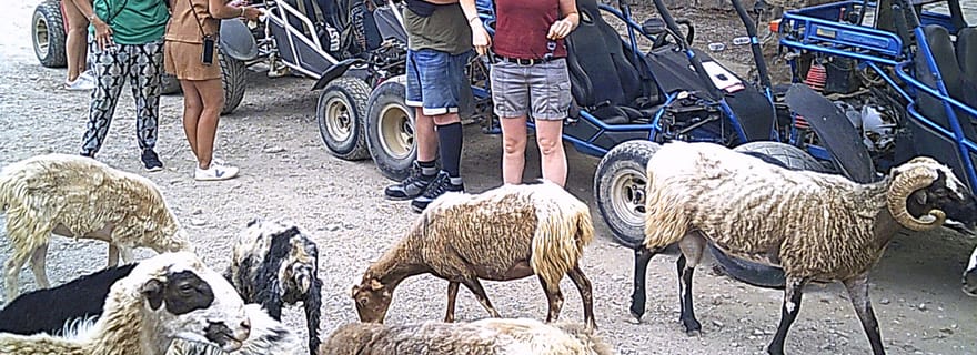 Safari en buggy en Crète (transfert et déjeuner) analipsi- hersonisos