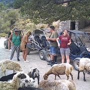 Buggy safari Creta (Traslado y almuerzo) analipsi- hersonisos