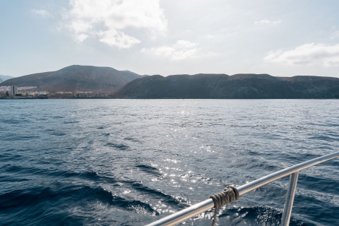 Puerto Colón: 3-godzinny rejs małą łodzią z przekąskami i napojamiWspólna wycieczka z maksymalnie 9 pasażerami