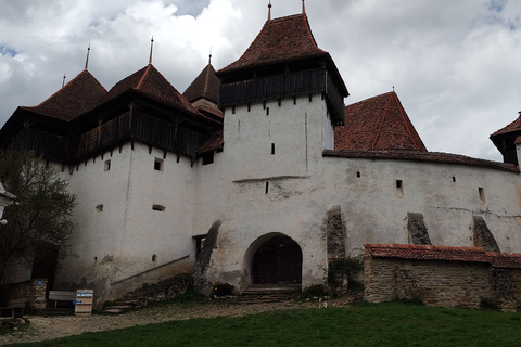 Private 5-tägige Tour durch Siebenbürgen ab Bukarest