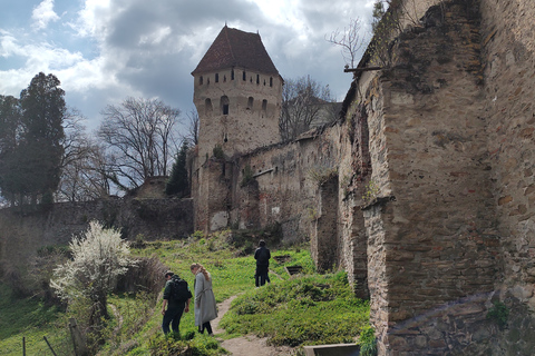 Excursión privada de 5 días por Transilvania desde Bucarest