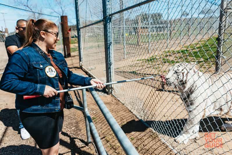 Alpine: Lions Tigers & Bears Animal Sanctuary Guided Visit