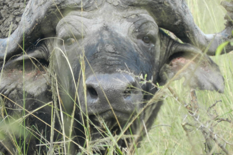 هلوهلوي ملحمة إكسبلورر - رحلات السفاري والريفية