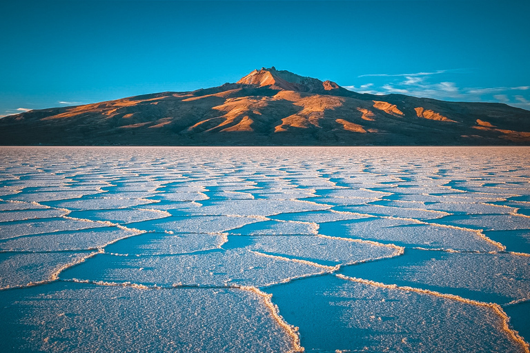 Från La Paz: Uyuni Salt Flat och Incahuasi Island Tour