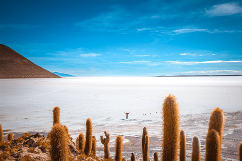 De La Paz: Excursão de 3 dias ao Salar de Uyuni e à Ilha Incahuasi