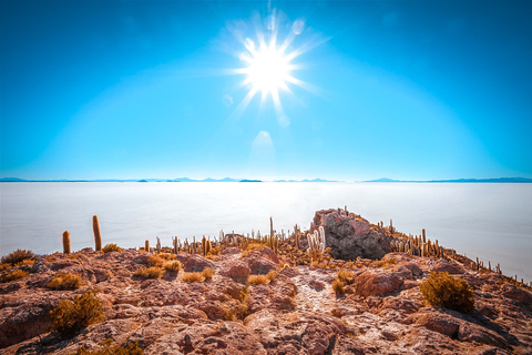 Desde La Paz: Excursión al Salar de Uyuni FD y Autobús de ida y vueltaDesde La Paz: Excursión al Salar de Uyuni y Autobús de ida y vuelta 2N/1D