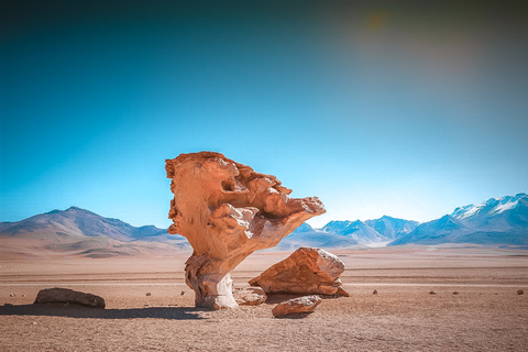 Desde La Paz: Tour de 5 días Uyuni + Lagunas Andinas con Viaje en Autobús