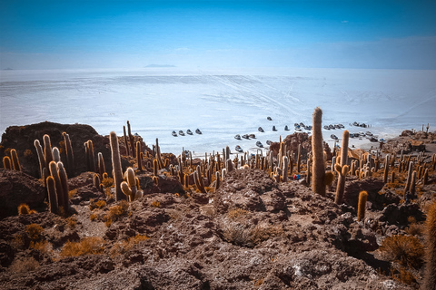 Da La Paz: Viaggio guidato di 5 giorni a Uyuni e alle lagune andineDa La Paz: tour di 5 giorni Uyuni + lagune andine con viaggio in autobus