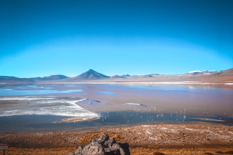 From La Paz: 5Day Tour Uyuni + Andean Lagoons with Bus Ride