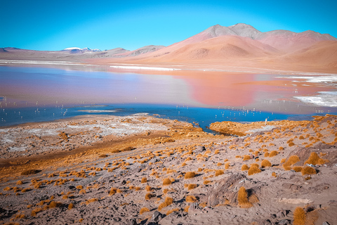 Från La Paz: Uyuni och Andinska lagunerna 5-dagars guidad turFrån La Paz: Uyuni + Andinska sjöar med bussresa