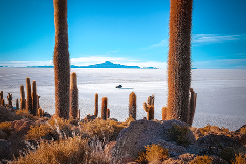 Von Uyuni: Salar de Uyuni - 3 Tage - Englischsprachiger Reiseführer