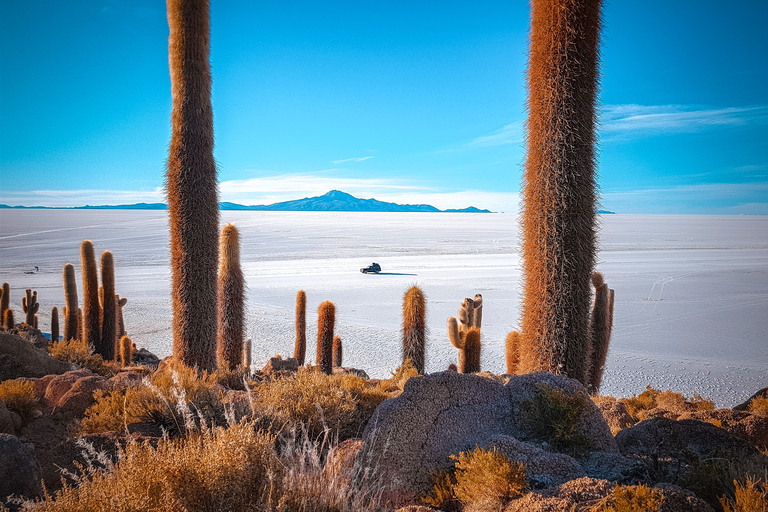 Uyuni: tour guidato di 3 giorni delle saline e del parco nazionale di Avaroa