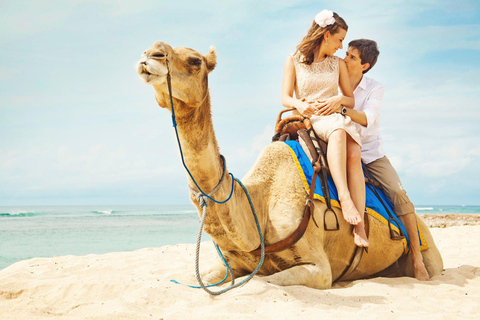 Agadir/Taghazout: Camel Riding and Flamingo River Tour From Taghazout: Camel Ride