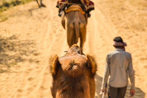 Agadir/Taghazout: Camel Riding and Flamingo River Tour From Taghazout: Camel Ride