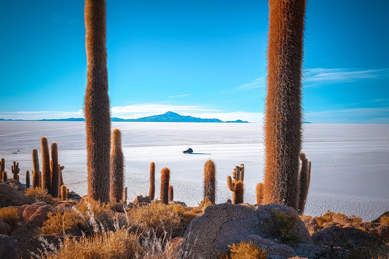 Au départ de La Paz : Voyage de 4 jours à San Pedro de Atacama et ses salines