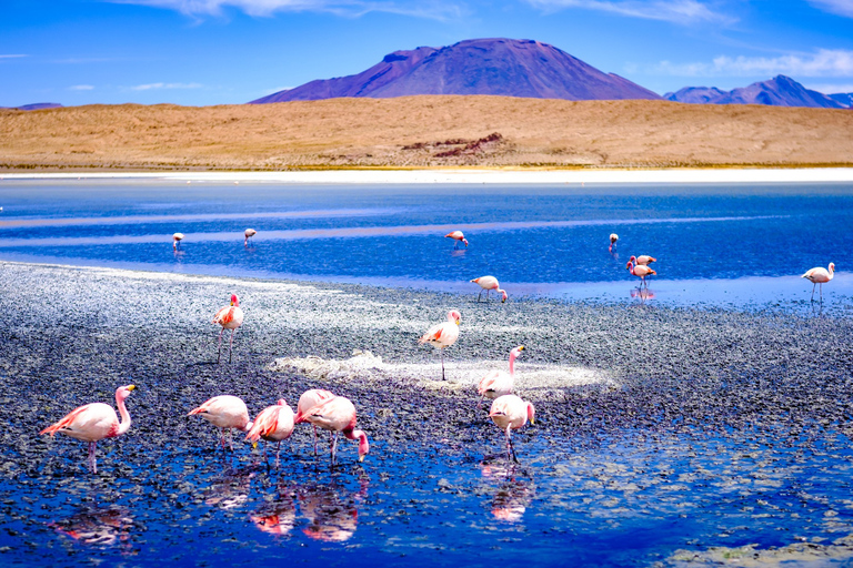 Au départ de La Paz : Voyage de 4 jours à San Pedro de Atacama et ses salines