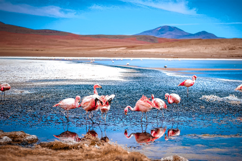 Au départ de La Paz : Voyage de 4 jours à San Pedro de Atacama et ses salines