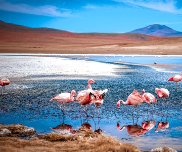 From La Paz: 4-Day Trip to San Pedro de Atacama w/Salt Flats