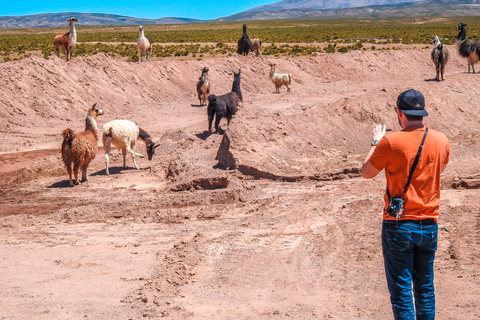 La Paz: 3-Day Uyuni Tour + Upgraded Round-Trip Night Buses