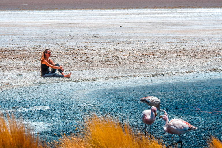 La Paz: 3-Day Uyuni Tour + Upgraded Round-Trip Night Buses