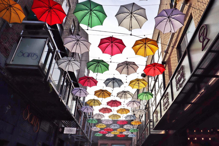 Dublin : visite culinaire du centre historique avec 8 dégustations et boissonsVisite culinaire de Dublin en petit groupe