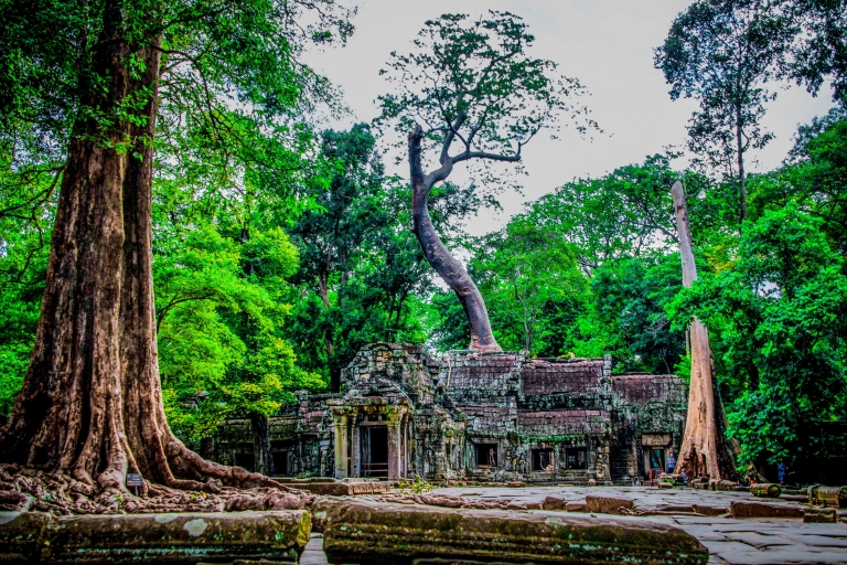 Visite partagée d'une journée complète au lever du soleil à Angkor Wat