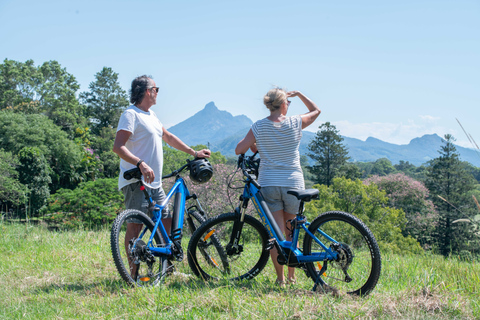 Byron Bay : Northern Rivers Rail Trail E-Bike Hire &amp; Shuttle (location de vélos électriques et navette)Location de vélos électriques et transport aller-retour vers le Northern 