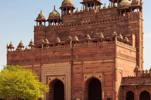 Från Agra: Fatehpur Sikri och marknad - privat halvdagsturFrån Agra: Privat halvdagstur till Fatehpur Sikri och marknaden