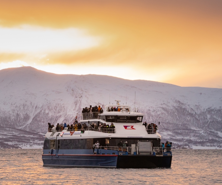 De Tromsø: Safari de baleias e vida selvagem no Ártico em catamarã