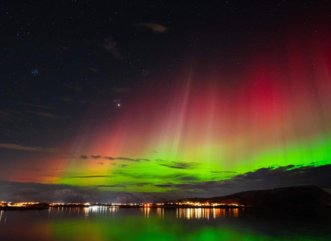 Harstad/Narvik/Tjeldsund: Nordlys-sightseeing i bil