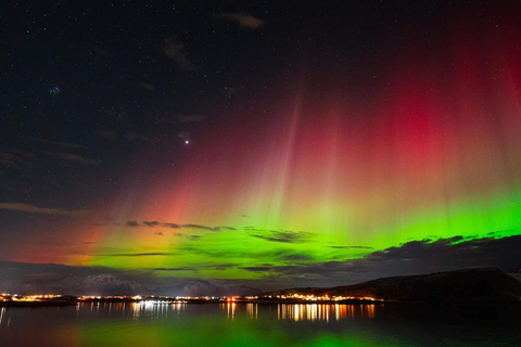 Harstad/Narvik/Tjeldsund: giro turistico dell&#039;aurora boreale in auto