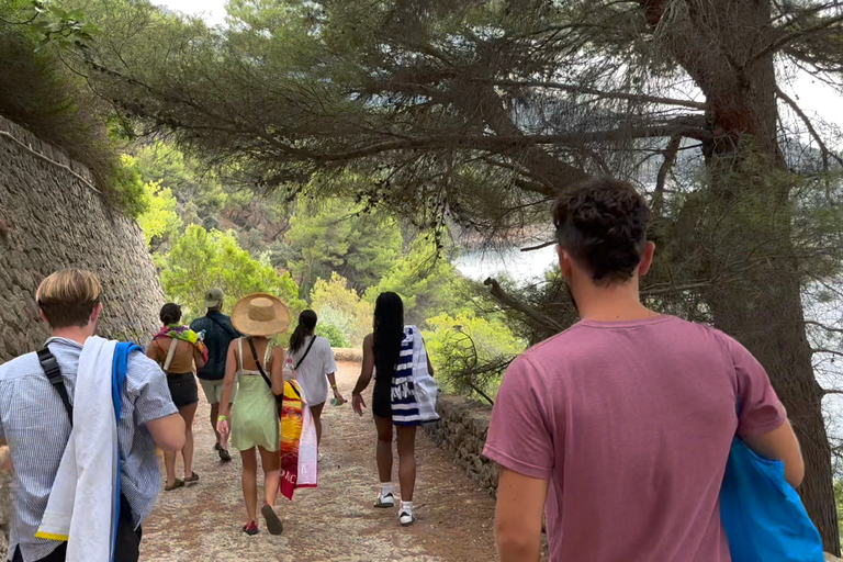 Palma de Mallorca: excursão de um dia pela costa norte da natureza