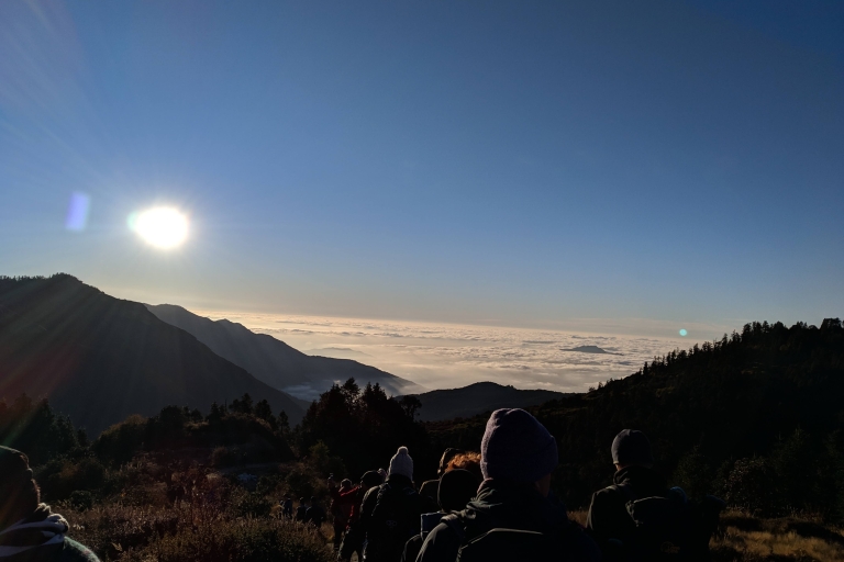 Pokhara: Annapurna Panoramic PoonHill Trek 4 Days